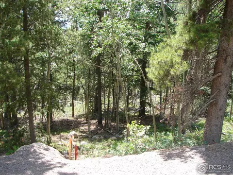 11184 Thomas Dr, Conifer, CO 80433 photo 17