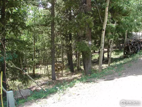 11184 Thomas Dr, Conifer, CO 80433 photo 13