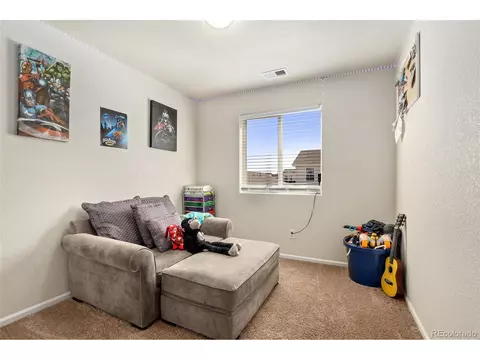 47340 Lily Ave, Bennett, CO 80102 photo 15