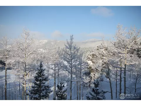 91 Foxtail Dr, Black Hawk, CO 80422 photo 25