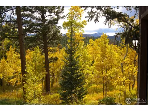 91 Foxtail Dr, Black Hawk, CO 80422 photo 23