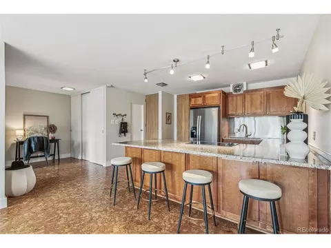 1050 N Corona St #214, Denver, CO 80218