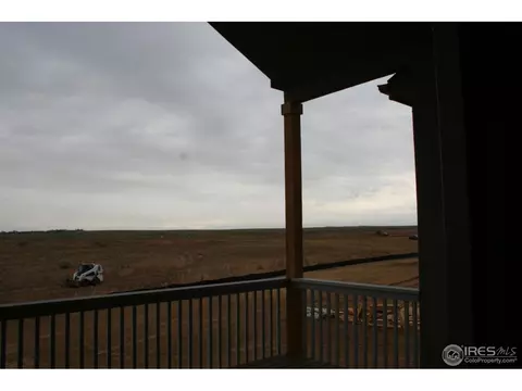 1875 Atna Ct, Windsor, CO 80550 photo 13