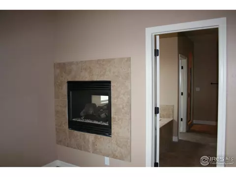 1875 Atna Ct, Windsor, CO 80550 photo 20