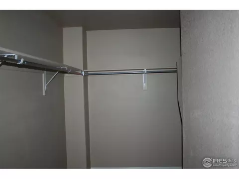 1875 Atna Ct, Windsor, CO 80550 photo 32