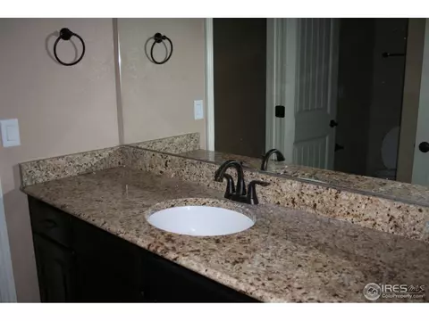 1875 Atna Ct, Windsor, CO 80550 photo 34