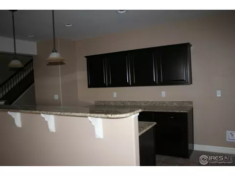 1875 Atna Ct, Windsor, CO 80550 photo 29