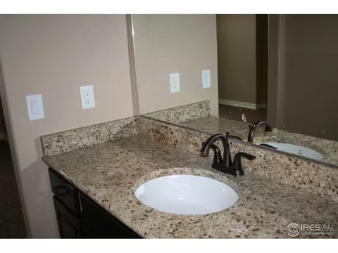 1875 Atna Ct, Windsor, CO 80550 photo 35