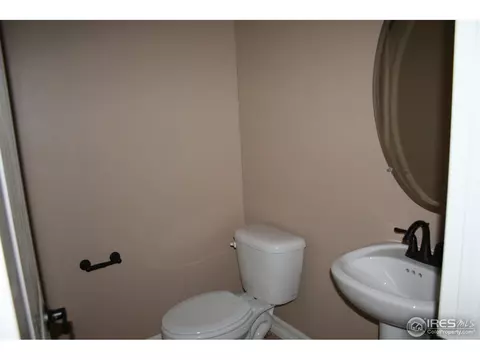 1875 Atna Ct, Windsor, CO 80550 photo 25