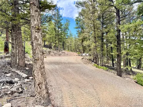 2843 Redhill Rd, Fairplay, CO 80440