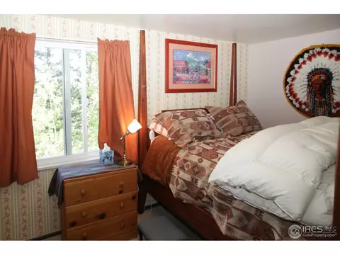 433 Bramer Rd, Ward, CO 80481 photo 14