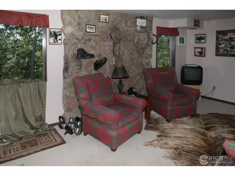 433 Bramer Rd, Ward, CO 80481 photo 16
