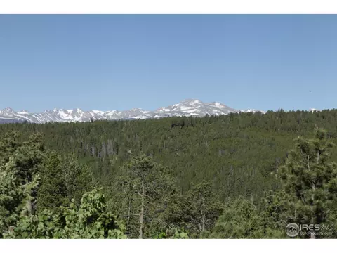 433 Bramer Rd, Ward, CO 80481 photo 21