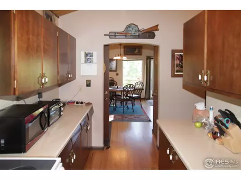 433 Bramer Rd, Ward, CO 80481 photo 10