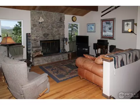 433 Bramer Rd, Ward, CO 80481 photo 6