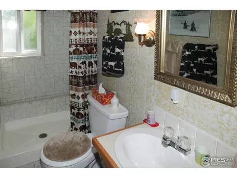 433 Bramer Rd, Ward, CO 80481 photo 13