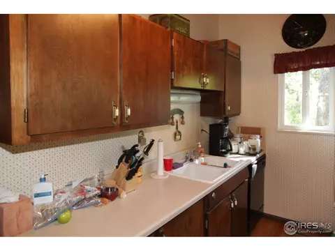 433 Bramer Rd, Ward, CO 80481 photo 9