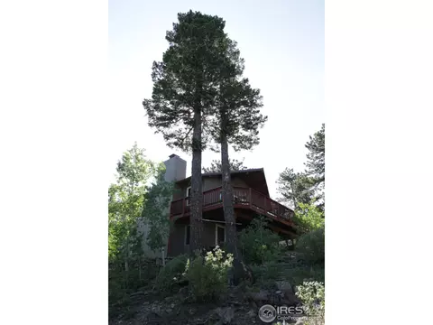 433 Bramer Rd, Ward, CO 80481 photo 5