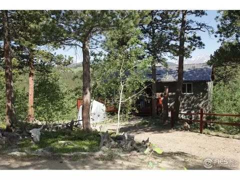 433 Bramer Rd, Ward, CO 80481 photo 3