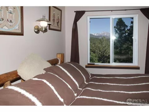 433 Bramer Rd, Ward, CO 80481 photo 11