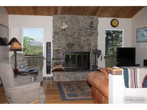 433 Bramer Rd, Ward, CO 80481 photo 7
