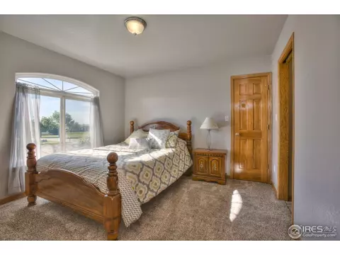 15301 Singletree Dr, Mead, CO 80542 photo 19