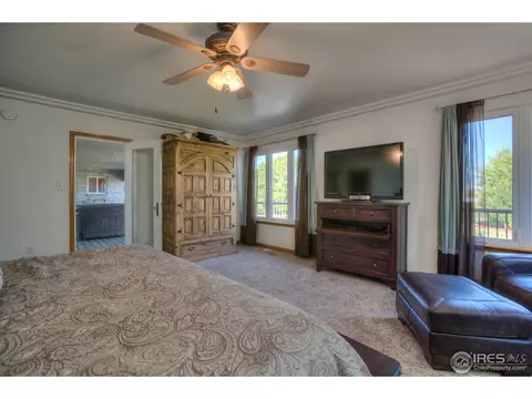 15301 Singletree Dr, Mead, CO 80542 photo 16
