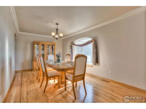15301 Singletree Dr, Mead, CO 80542 photo 10