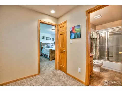 15301 Singletree Dr, Mead, CO 80542 photo 22