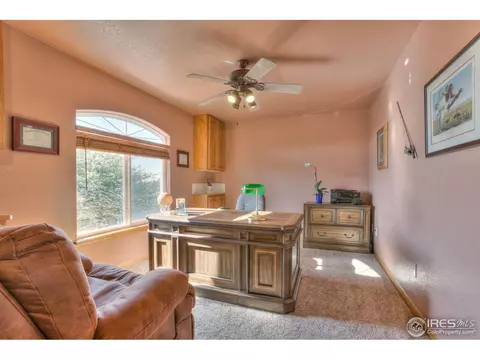 15301 Singletree Dr, Mead, CO 80542 photo 7