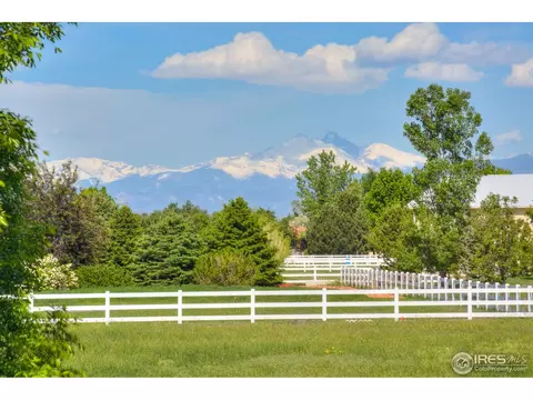 15301 Singletree Dr, Mead, CO 80542 photo 40