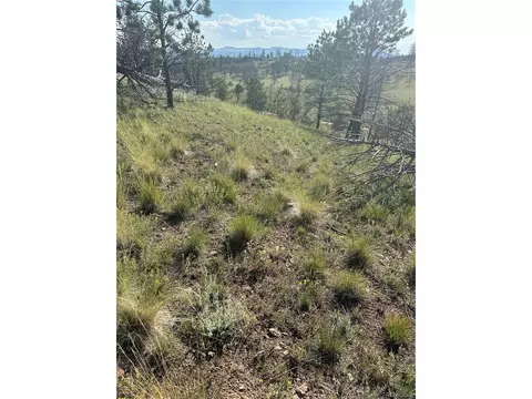 53 Chateau West Cir, Florissant, CO 80816