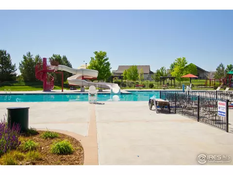 5754 Pineview Ct, Windsor, CO 80550 photo 34