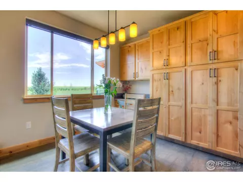 5754 Pineview Ct, Windsor, CO 80550 photo 24