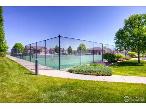 5754 Pineview Ct, Windsor, CO 80550 photo 40