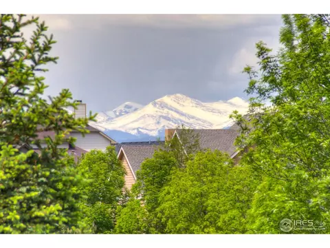 5754 Pineview Ct, Windsor, CO 80550 photo 20