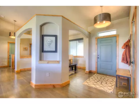 5754 Pineview Ct, Windsor, CO 80550 photo 15