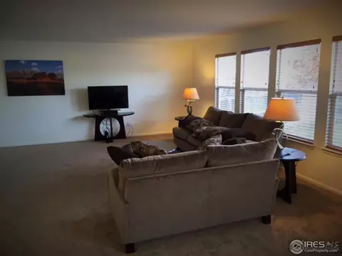 1237 Lark Ave, Brighton, CO 80601 photo 15