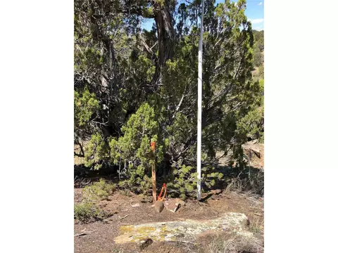 898 Rio Cucharas Phs 3, Walsenburg, CO 81089 photo 15