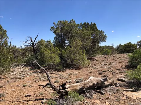 898 Rio Cucharas Phs 3, Walsenburg, CO 81089 photo 9