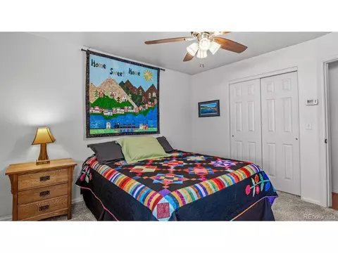 879 Elberta Dr, Fruita, CO 81521 photo 21