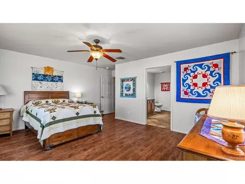 879 Elberta Dr, Fruita, CO 81521 photo 16