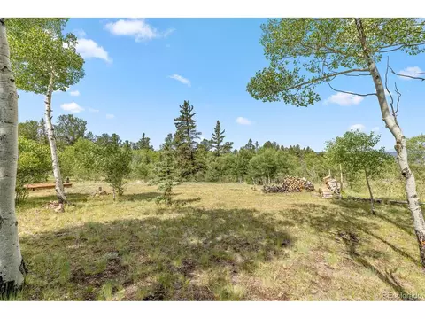 35 Starling Way, Como, CO 80432 photo 50