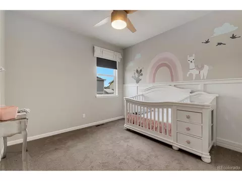747 Lilac Ct, Brighton, CO 80601 photo 19