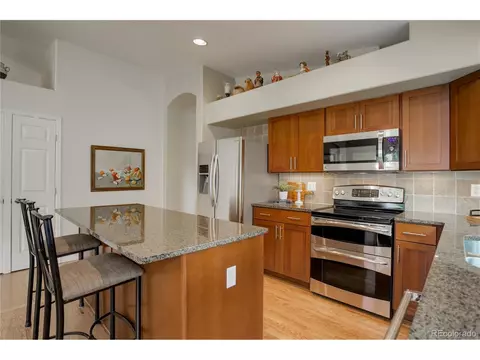 7063 Leopard Dr, Lone Tree, CO 80124 photo 11