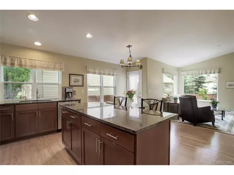 7063 Leopard Dr, Lone Tree, CO 80124 photo 12