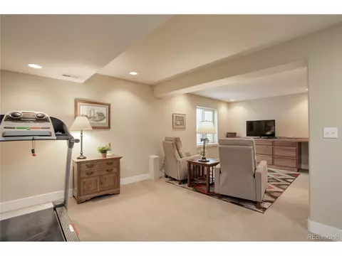 7063 Leopard Dr, Lone Tree, CO 80124 photo 20