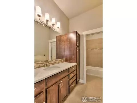 1539 Sandy Ln, Windsor, CO 80550 photo 35