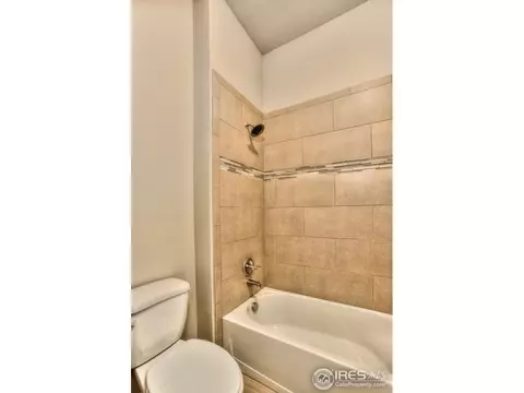 1539 Sandy Ln, Windsor, CO 80550 photo 36