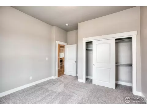 1539 Sandy Ln, Windsor, CO 80550 photo 31